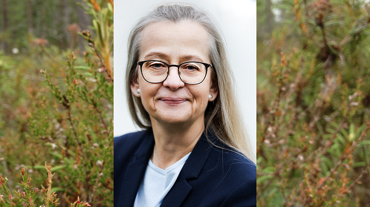 Camilla Montén har tillträtt tjänsten som VD på miljökonsultföretaget Calluna AB. "Hon är en erfaren ledare med starkt driv och målfokus", säger styrelseordförande Eva Gidlöf. Foto: Maria Adelsköld.