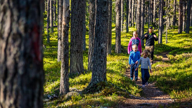 Lättillgänglig vandring