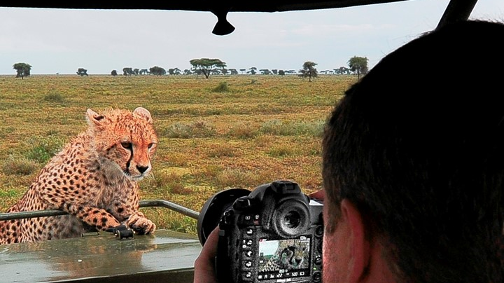 african go discover 1