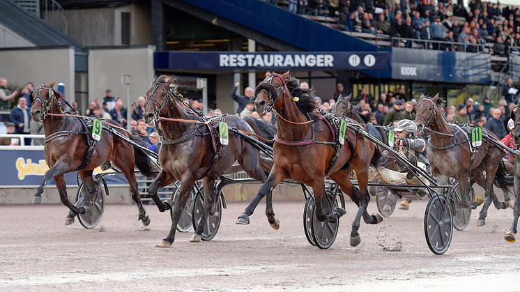 Barack Face och Adrian Kolgjini vann UET Grand Prix på Solvalla 14 oktober i år. Foto: TR Bild