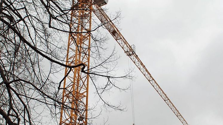 Über dem Himalaya-Gelände im Zoo Leipzig hängt die Richtkrone