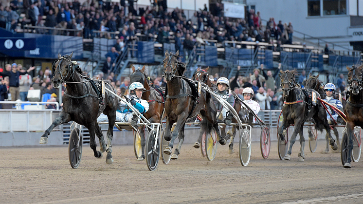 Xanthis Harvey (Örjan Kihlström) segrade i Svenskt Trav-Kriterium före stallkamraterna Bengan och Ante la Roque. Alla är tränade av Daniel Redén. Foto: TR Bild