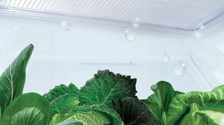 Moist Balance Cripser (roof)