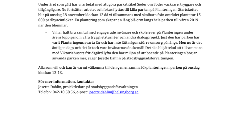 Pressinbjudan: 15 000 vårlökar planteras i Lilla parken