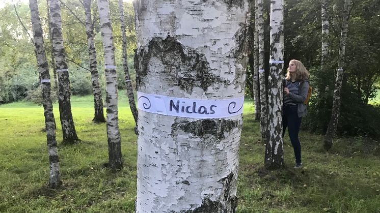 Över tusen adopterade träd