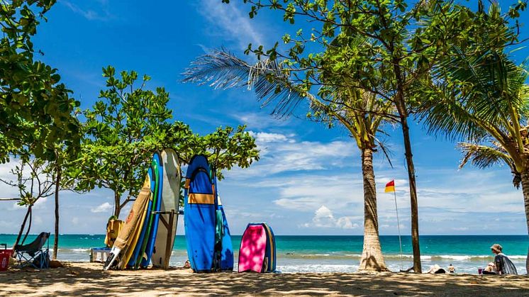 Surfing-and-Water-Sports.jpg