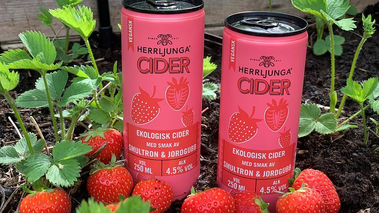 Herrljunga Cider Smultron & Jordgubb –  En söt cider med smak av sommar!