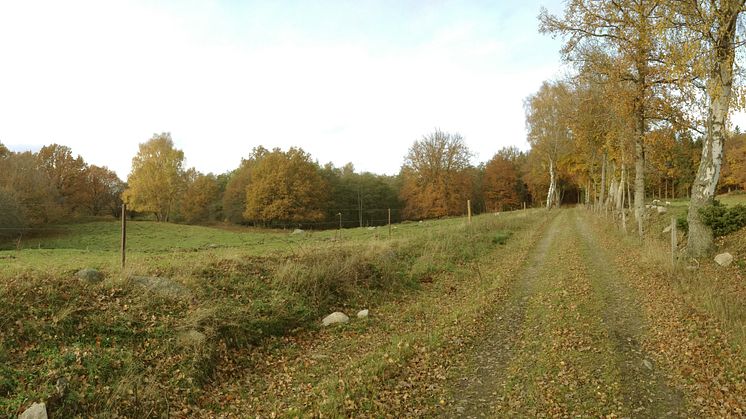 Assmåsa femtonde naturreservatet i Sjöbo kommun