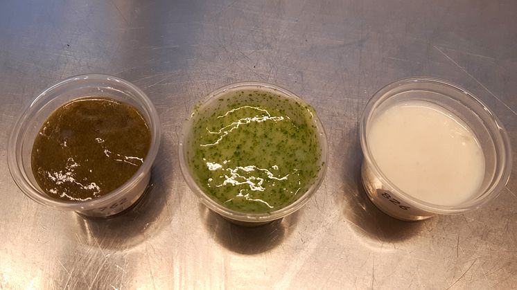 Produkter havssallat
