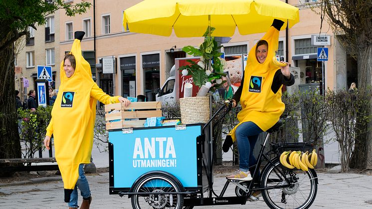 Hjo kommun kom på en fjärdeplats i årets Fairtrade Challenge följt av Sorsele och Västerås. Foto: Fairtrade Sverige. 