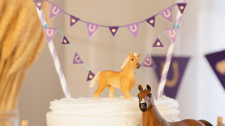 birthday party_Horse Club_mini garland