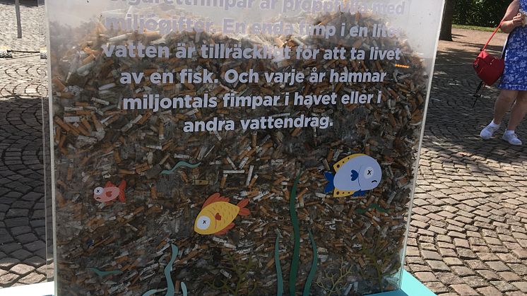 Fimpfångsten från sommarens Fimpkamp under Gothenburg Cultural Festival. Foto: Mårten Heslyk Städa Sverige