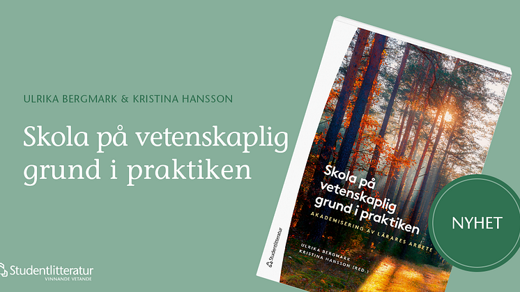 Bokens författare är lärare från Piteå kommun och forskare från Luleå tekniska universitet och Umeå universitet.