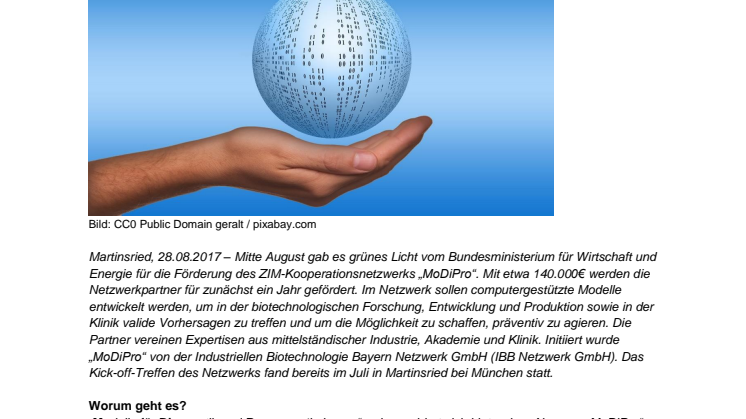 Smarte Prognosetools für Biotechnologie und Medizin