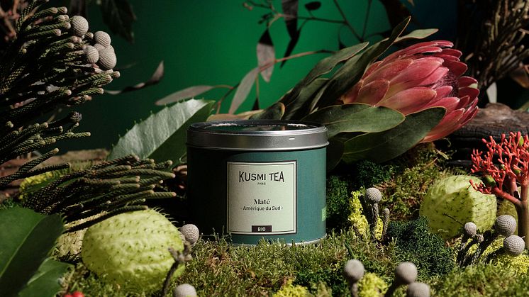 Mate-Burk-Lifestyle-SingleOrigin-te-Svartte-Beriksson2