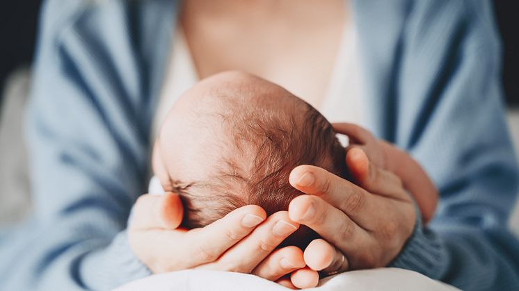 Sex forskare vid Linköpings universitet får bidrag från Joanna Cocozzas stiftelse för barnmedicinsk forskning år 2024. Foto: Natalia Deriabina/iStock
