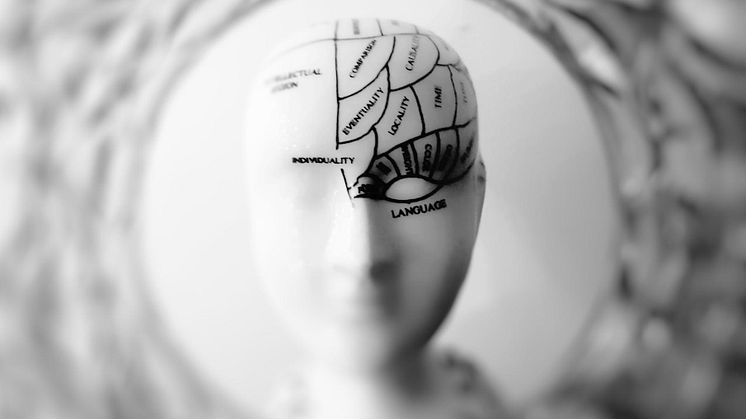 Studie visar avvikande förändringar över tid i hjärnan hos personer med bipolär sjukdom. Foto: Pexels. CC0.