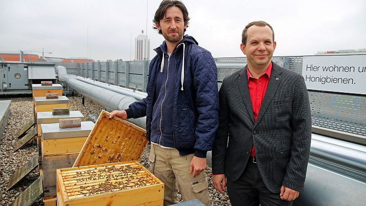 IntercityHotel Leipzig: Tobias Laub (Imkerei Laubinger) und Christian Syrotek (Hoteldirektor) präsentieren die Bienenvölker © Andreas Schmidt