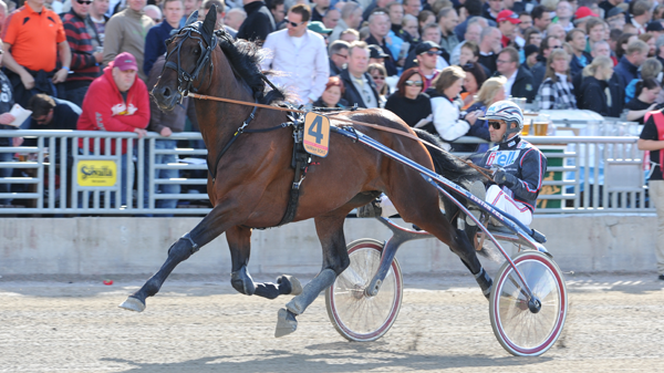 Norges bästa travhäst kommer till Elitloppet på Solvalla