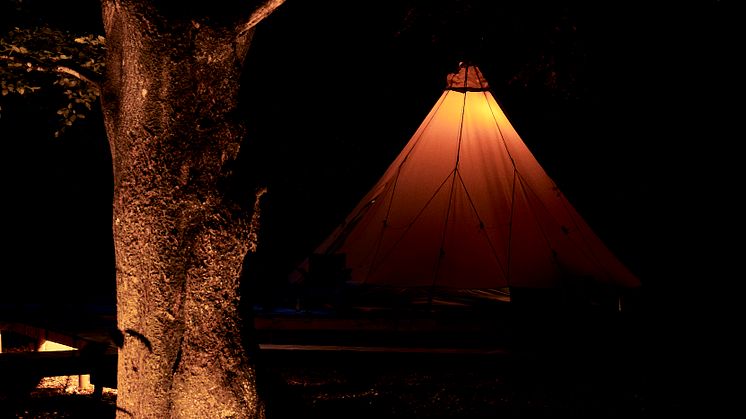 I Skånes Djurpark har smart belysning installerats i boendena för att framhäva naturen och förstärka upplevelserna för gästerna i Wild Lodge och Camp Oak.