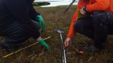 Researchers examining a sediment core