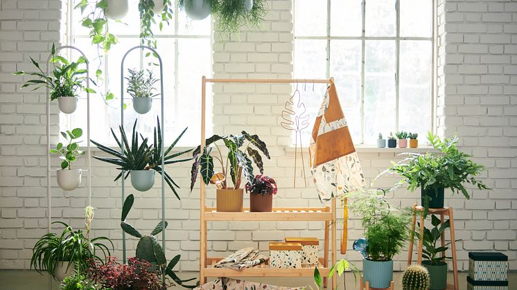 DAKSJUS plantekollektion består af plantestandere, urtepotteskjulere og tilbehør til plantesæsonen.