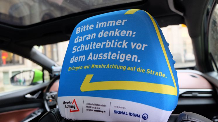 Kopfstütze_DSCF1514