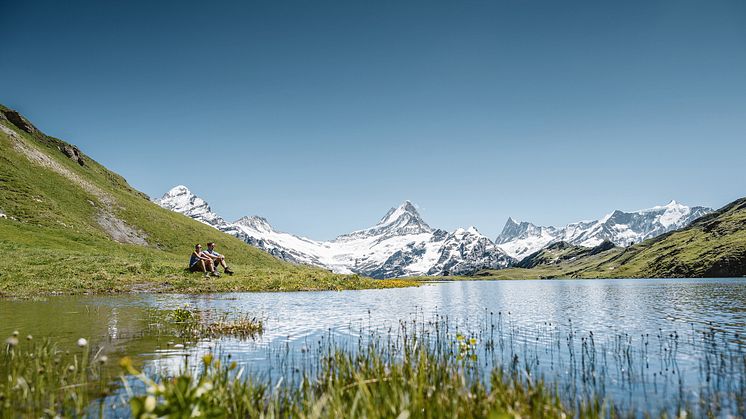 Grindelwald 