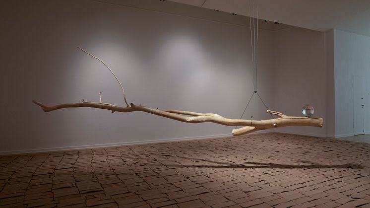 Katja Pettersson, installationsvy med verken Jord, 2017 samt Nature/Culture, 2020 