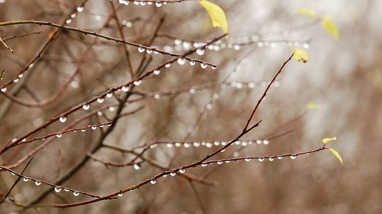 ​Den hydrologiske balansen, som er summen av vann i magasiner, snø i fjellet og markvann, viser at det er mer tilgjengelige ressurser nå enn hva som er normalt for årstiden.