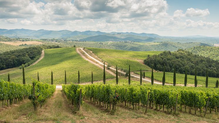 paesaggio