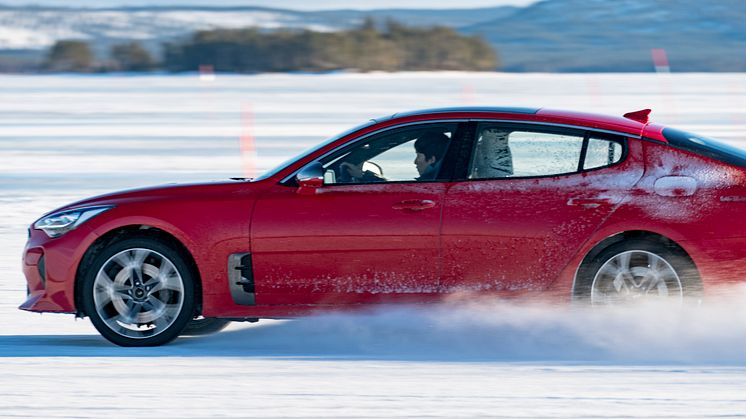 KIA Stinger_Arjeplog343