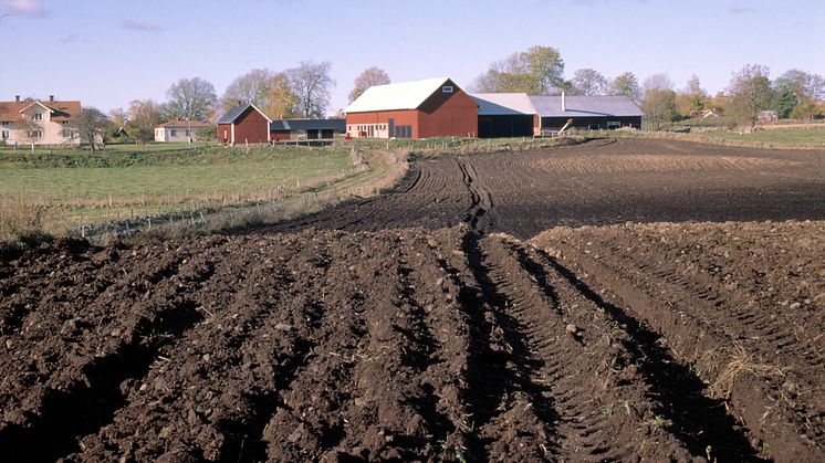 Genrebild åkermark. Foto: Jordbruksverket