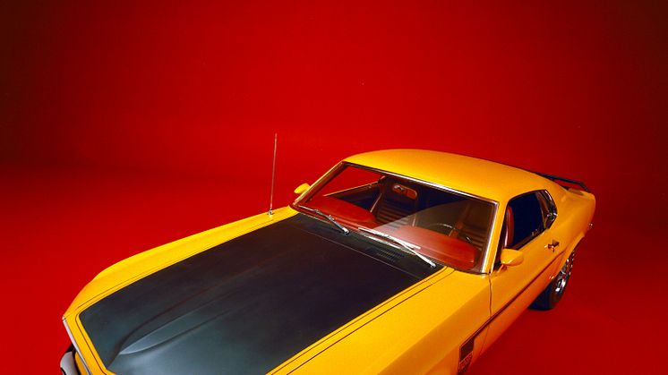 55 Mustang Birthday