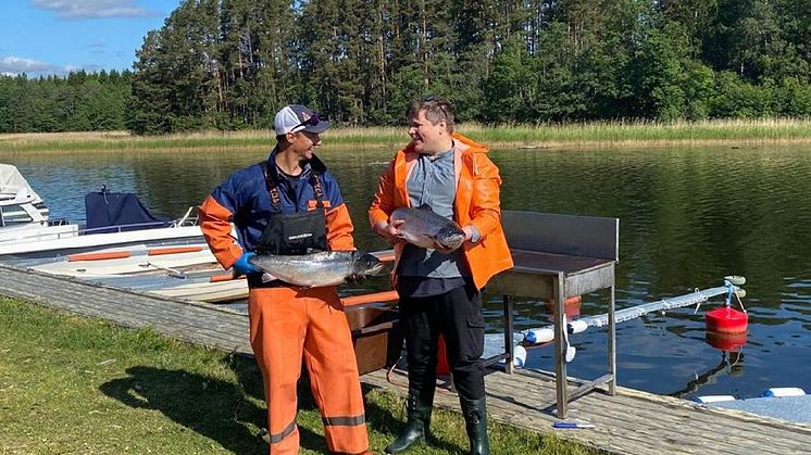 Köksmästare Leif Klövstedt och fiskaren Fredrik Åström går igenom dagens fångst.