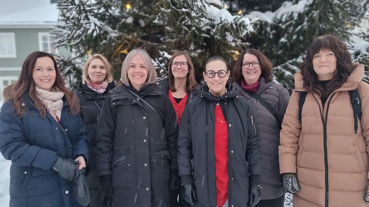 Från vänster: Sandra Åström Wibax, Linda Larsson Pite Energi, Johanna Vincent Sparbanken Nord, Åsa Rundgren Smurfit Kappa Piteå, Lena Fernberg ShoreLink, Cathrine Granberg Piteå kommun, Marie Lindgren Berglund Piteå Science Park
