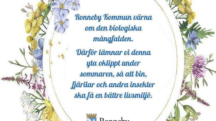 Under sommaren 2020 ställer Ronneby kommunen om skötsel av vissa gräsmattor till oklippta ytor. Detta ska gynna den biologiska mångfalden.