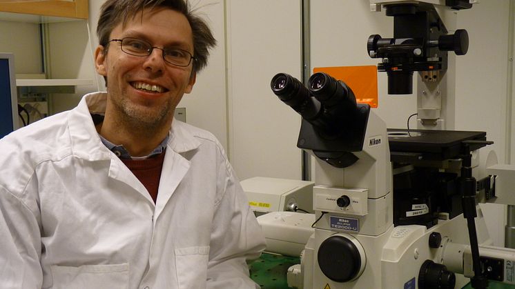 Studie inom stamcellsforskning vid debut av typ 1-diabetes beviljas en halv miljon kronor