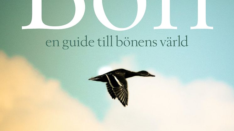 Bön-En guide till bönens värld.jpg