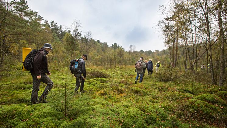 Hovdala och Mölleröd naturområde bjuder på varierande vandringsupplevelser 