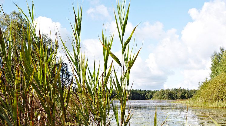 Plan för utbyggnad av kommunalt vatten och avlopp i Lund