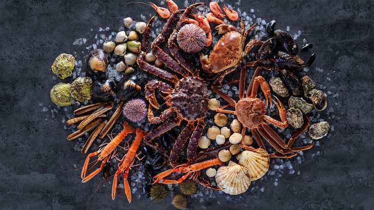 Norske skalldyr er en ettertraktet delikatesse på high-end restauranter i inn- og utland. FOTO Studio Dreyer Hensley