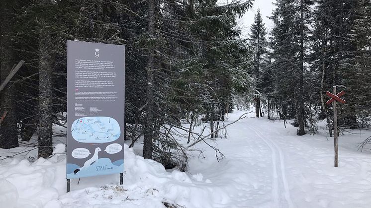 Här går den nya skidleden för barn som invigs under fredagen. Foto: Henny Sahlin.