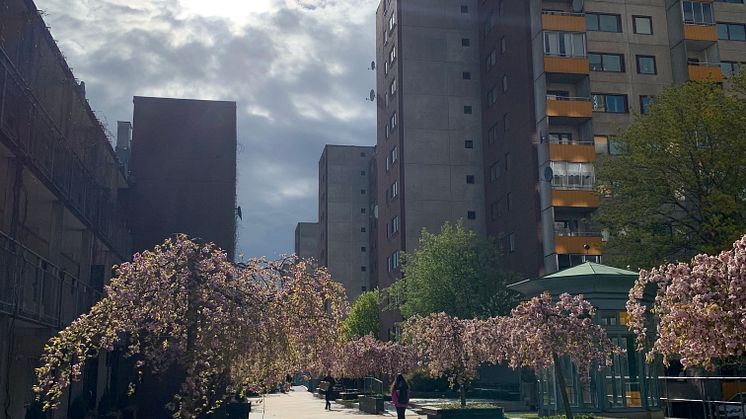 Botkyrkabyggens hus i Fittja som stamrenoveras