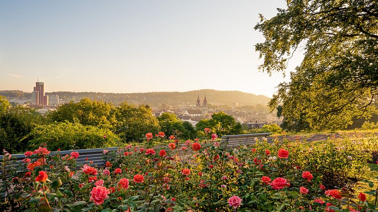 BlickVomRosengartenAufWinterthur(c)HouseofWinterthur_ChristofSeiler