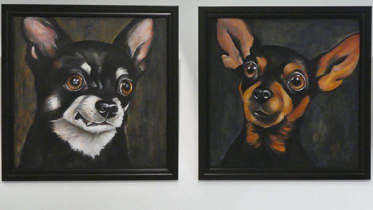 Hund & katt på liv & död
