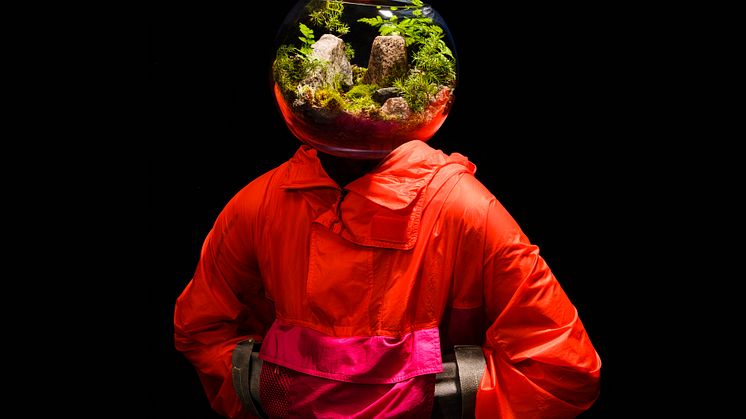Terrarium_liggande_högupplöst