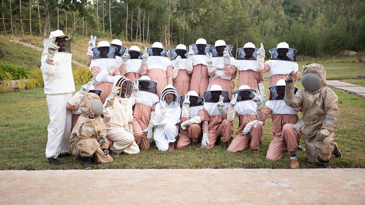 Beekeeping