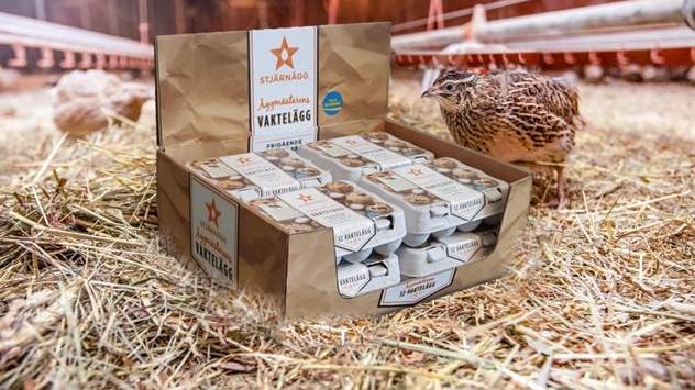 VAKTELÄGG I NY FÖRPACKNING!