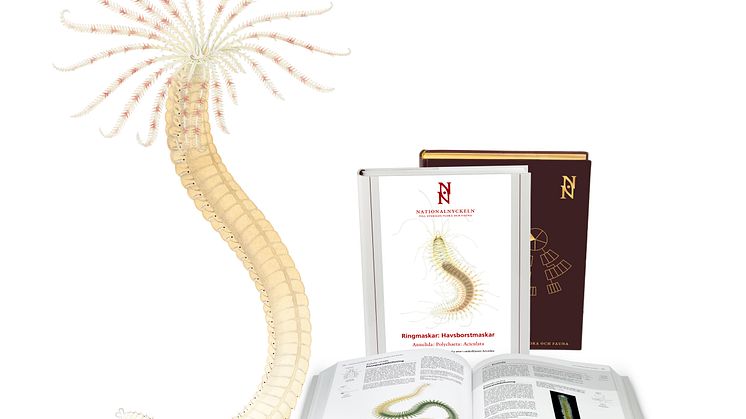​Nationalnyckeln åter i bokproduktion